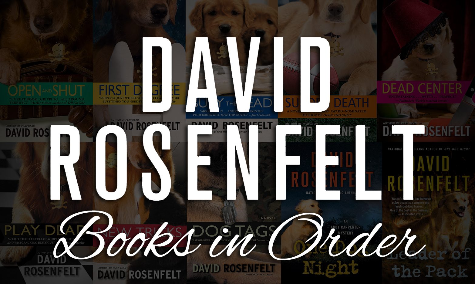 David Rosenfelt Books in Order: Series, Standalones & Nonfiction